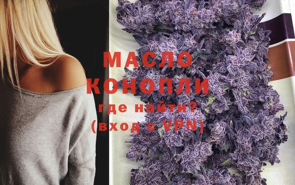 дживик Слюдянка