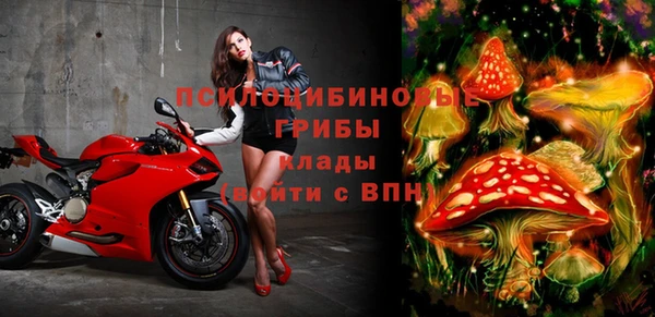 а пвп мука Снежинск