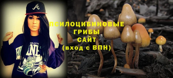 альфа пвп Беломорск