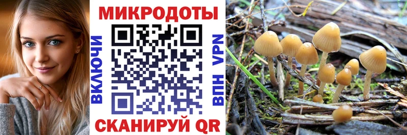 OMG ссылки Кузнецк Псилоцибиновые грибы Cubensis
